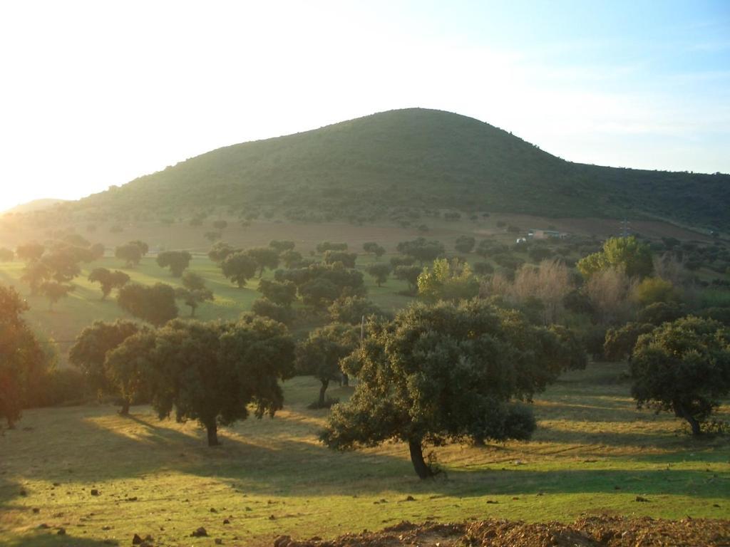 Cortijo El Criadero El Hoyo Room photo