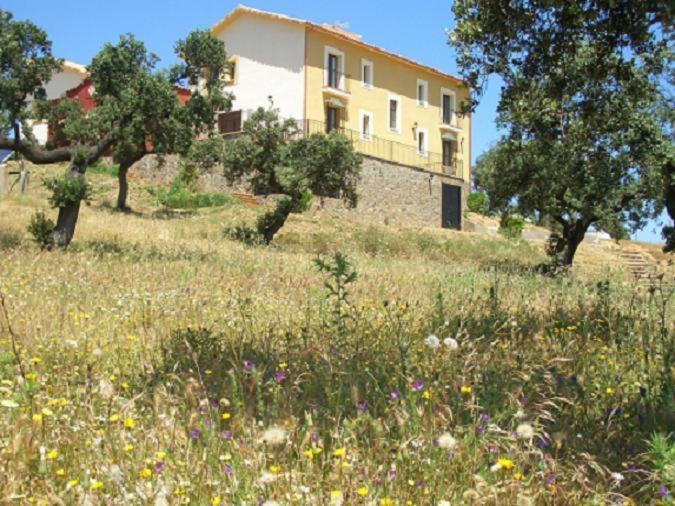 Cortijo El Criadero El Hoyo Exterior photo
